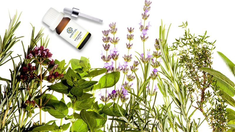 What Are Organic Essential Oils